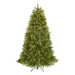 6.5 ft. Pre-Lit Downswept Douglas Fir Tree with Clear Lights