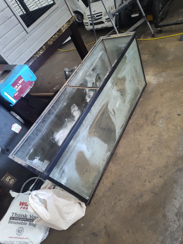 Big Tank Fish Tank Terrarium