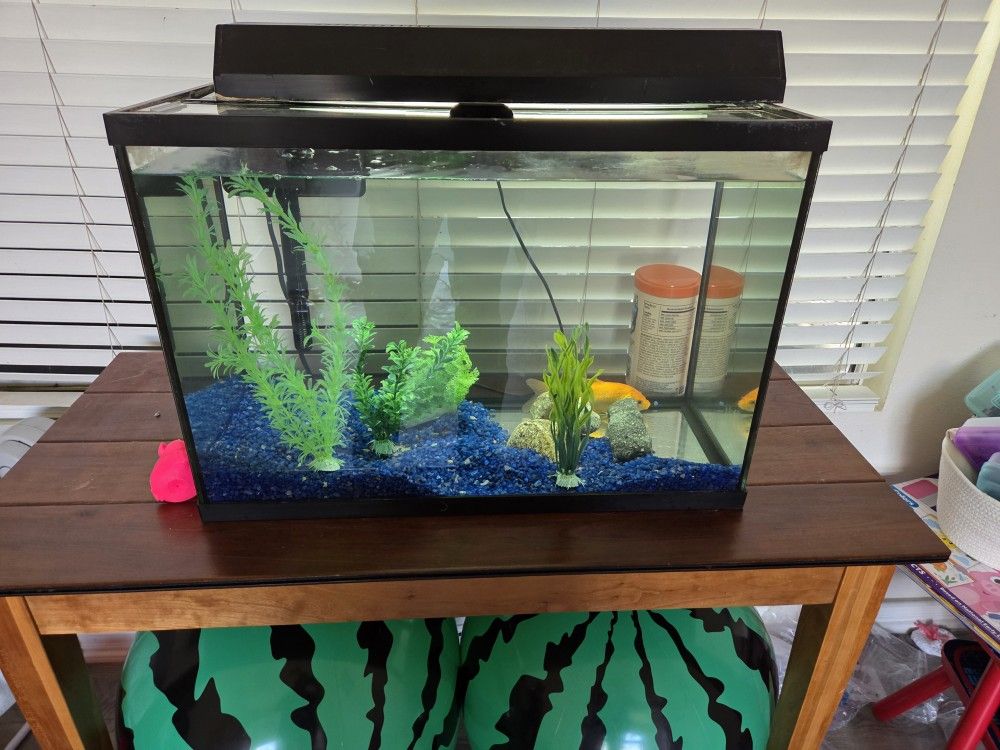 Fish Tank