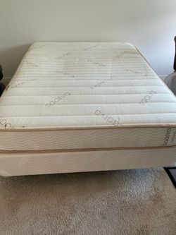 Saatva Queen Size Bed