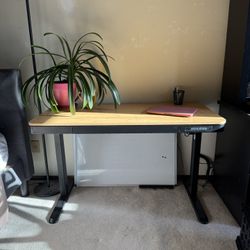 Standing Desk 