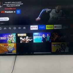 Vizio 65” Tv