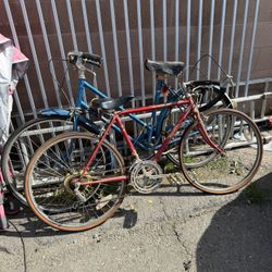 Two Mountain / Racing Bikes Classic Pair 