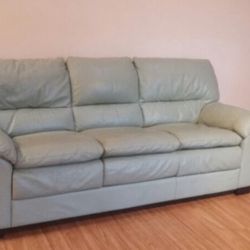 sleeper sofa