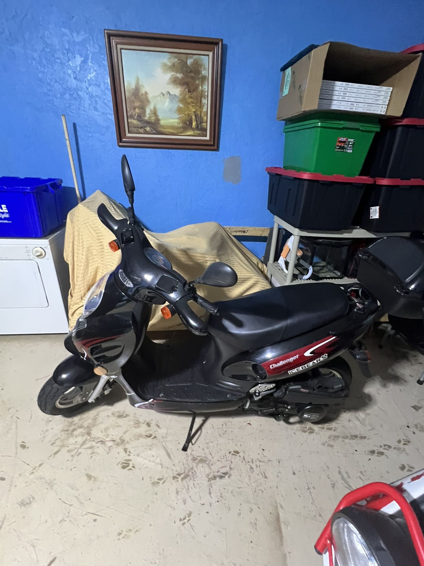 2022 Ice Bear Challenger 150cc Scooter