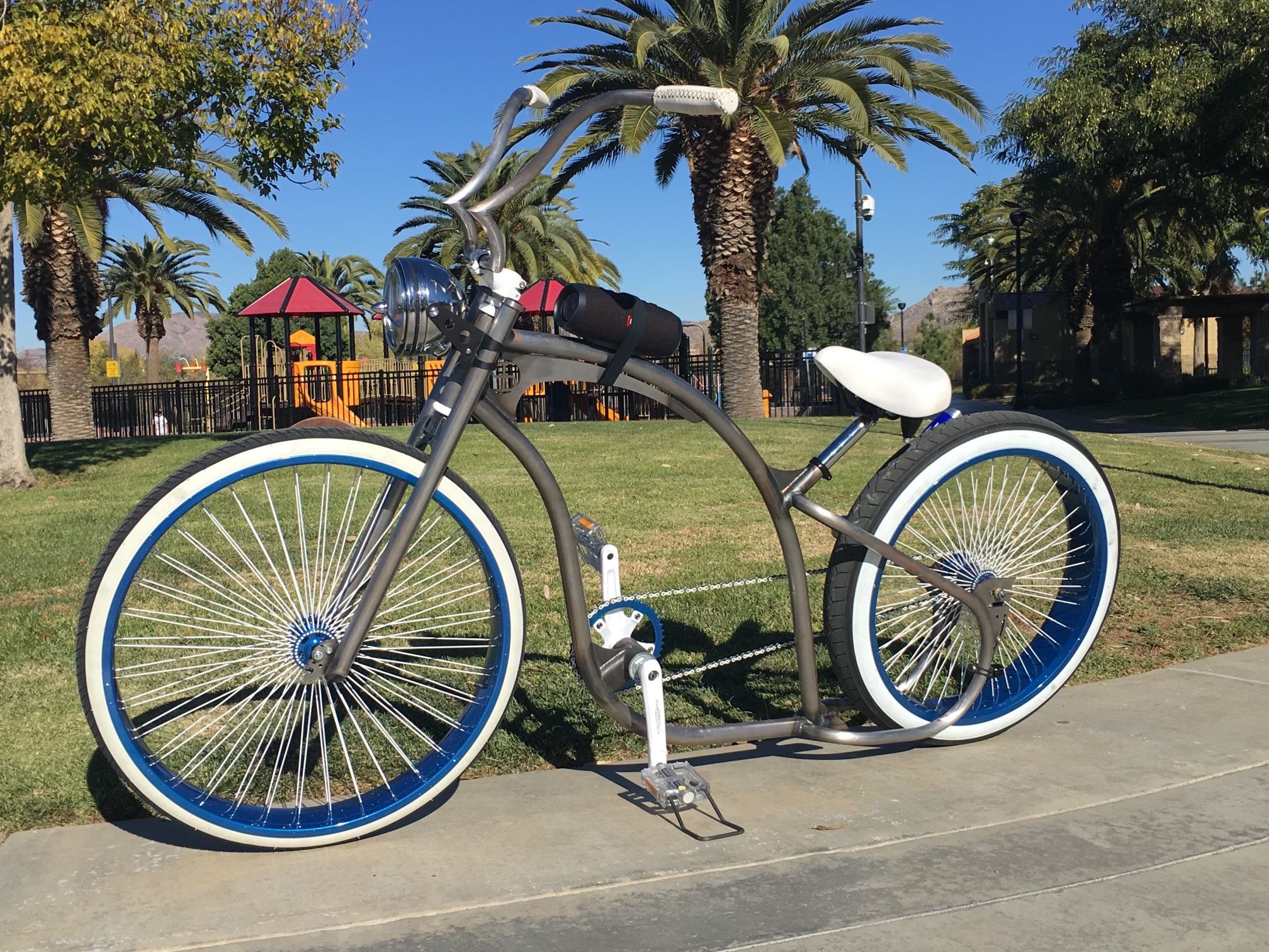 TSP Cruiser Bike Raw Metal Frame
