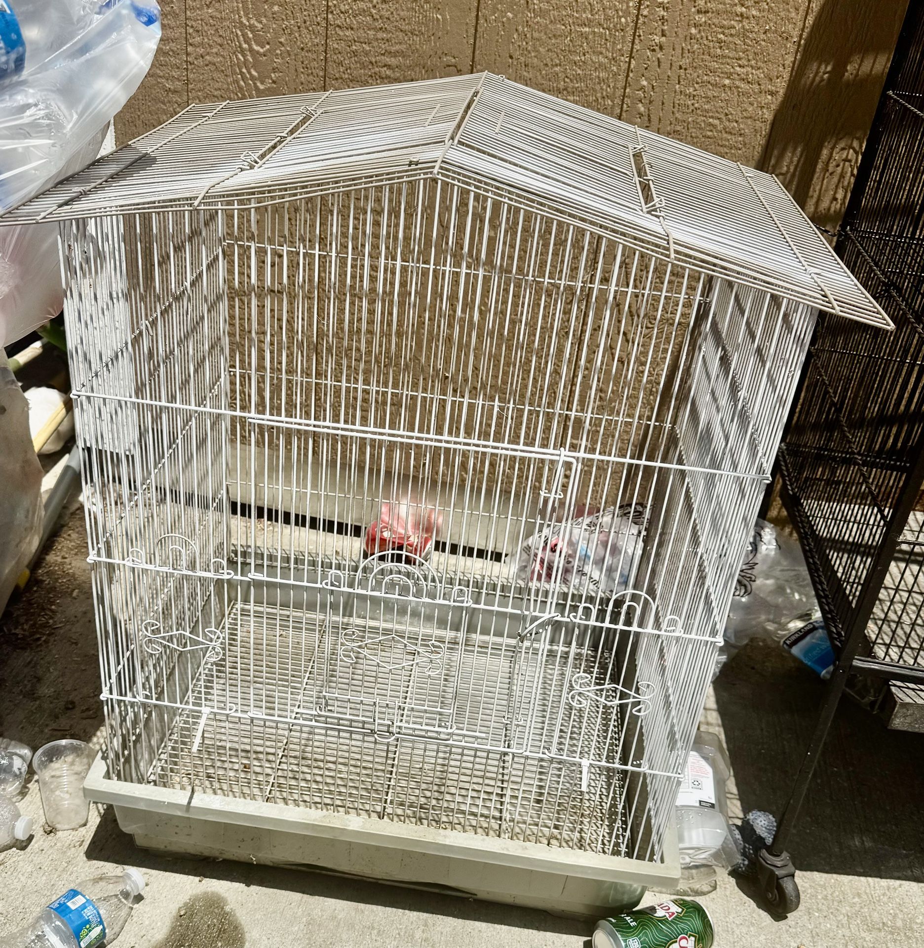 Bird Cage