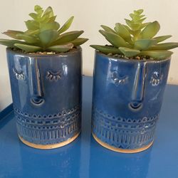 Fake Succulents Set Of 2 