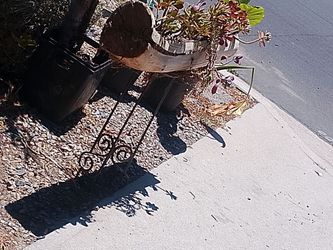 Trunk