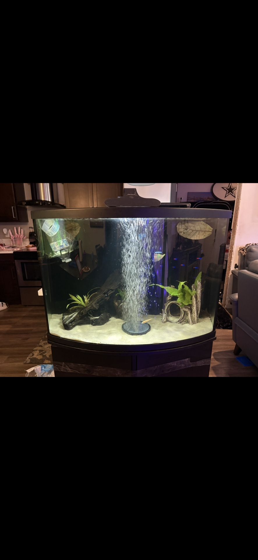 38 Gallon Tank And Stand