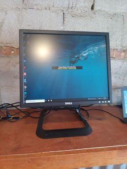 Dell E196FPB Monitor Working
