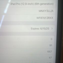 iPad Pro 12.9 6th generation 2TB With charging case 