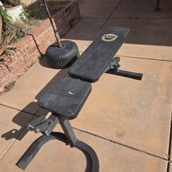 Weight Bench