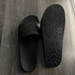 Black Coach Slides