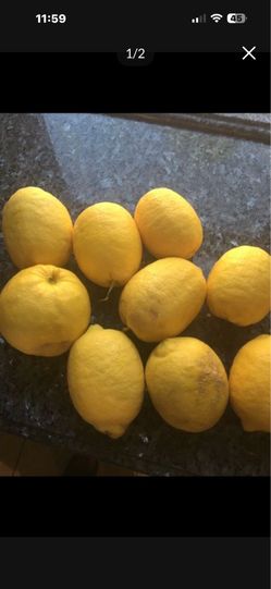 Big bag of fresh cut lemons $10
