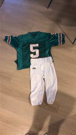 Ray Finkle Dolphins costume