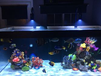 Kessil A160we Tuna Blue with gooseneck for Sale in Sylmar, CA