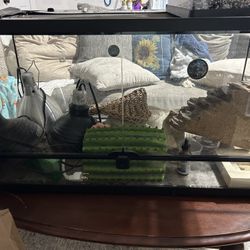 40 Gallon Terrarium