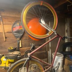 Fixed Gear Freestyle Bike