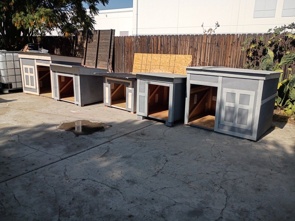 Dog House