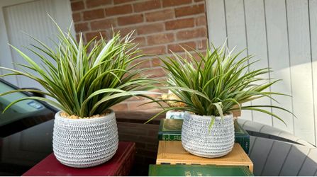 Faux plants