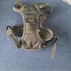 Harness For Dogs