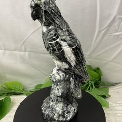 Rare Crystal Jade Parrot
