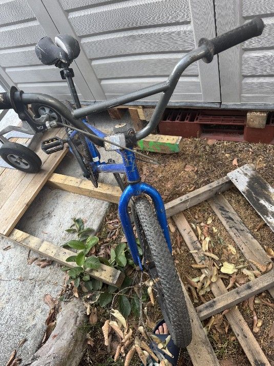Blue Bike