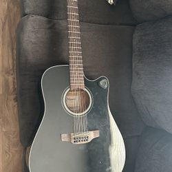 Takamine 12 String G Series