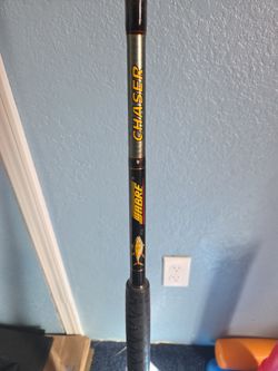 Sea Fishing Rod