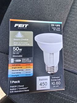 Feit Electric PAR20 LED Flood Light Bulb