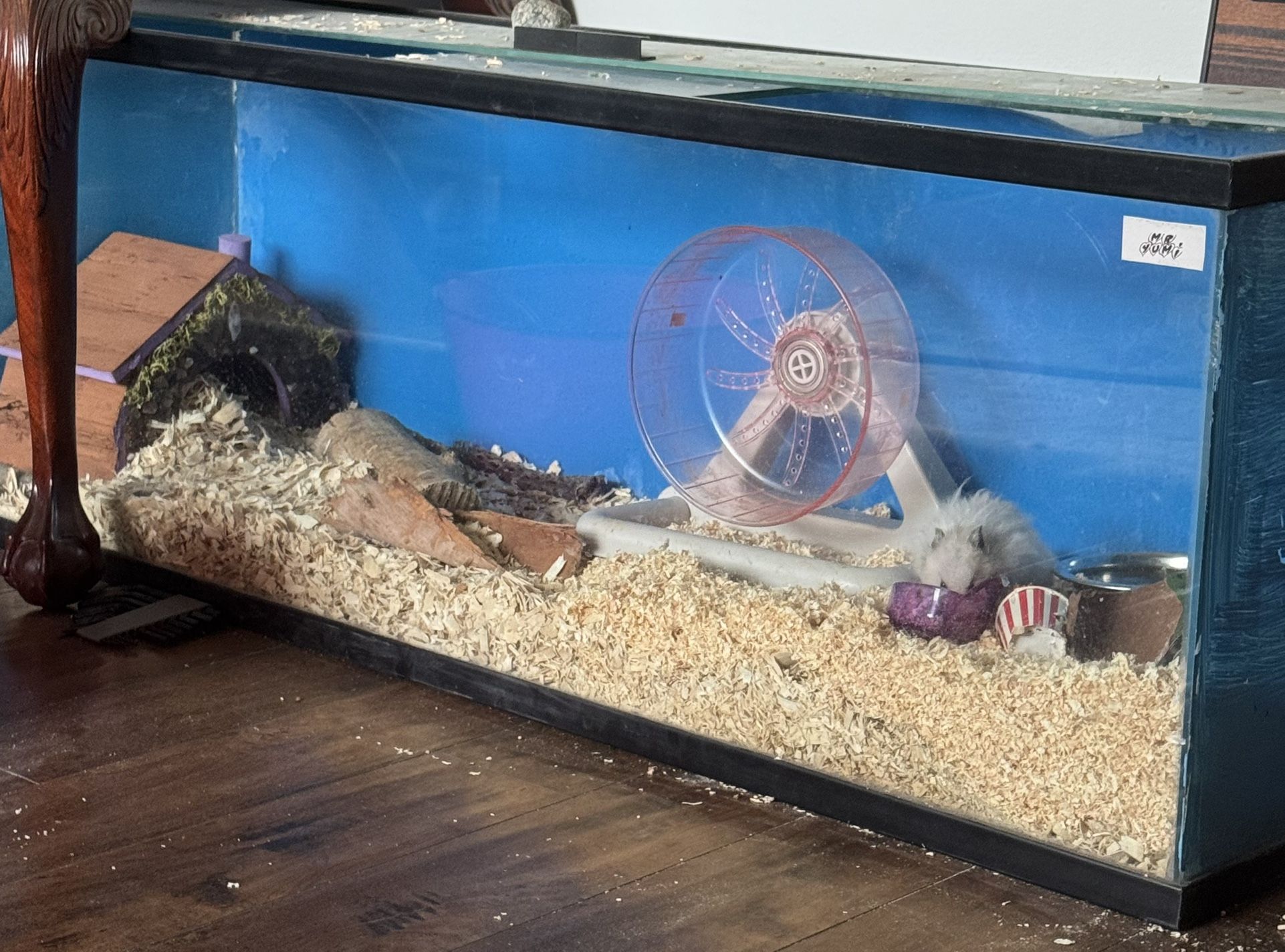 2 Large Enclosures For Pets 