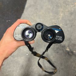 Swift Audubon Binoculars 