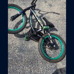 Turtles Bike Size 16