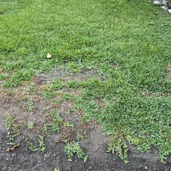 Irrigation Valves For Grass