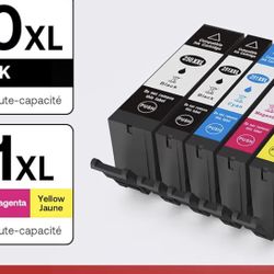 PGI-250XL CLI-251XL 5 Color Value Pack,