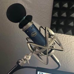 Blue Bird XLR Microphone 