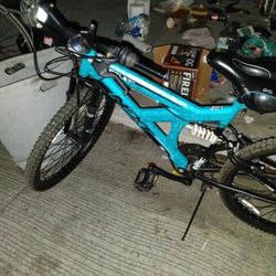 Dynacraft Gauntlet mountain bike