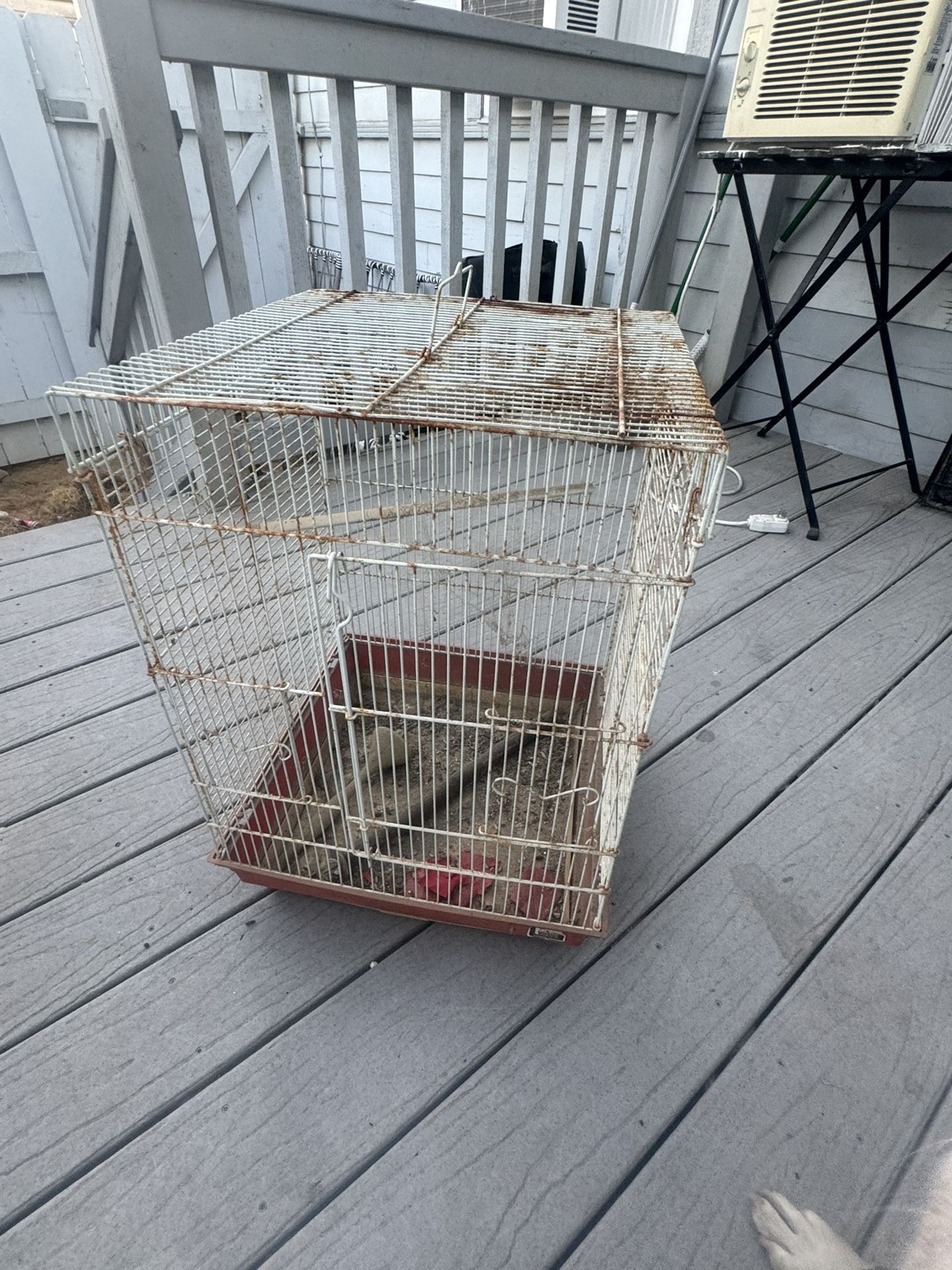 Bird Cage $15