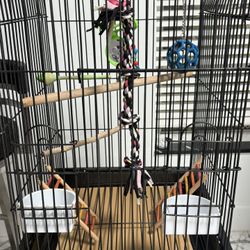 Birds Cage 