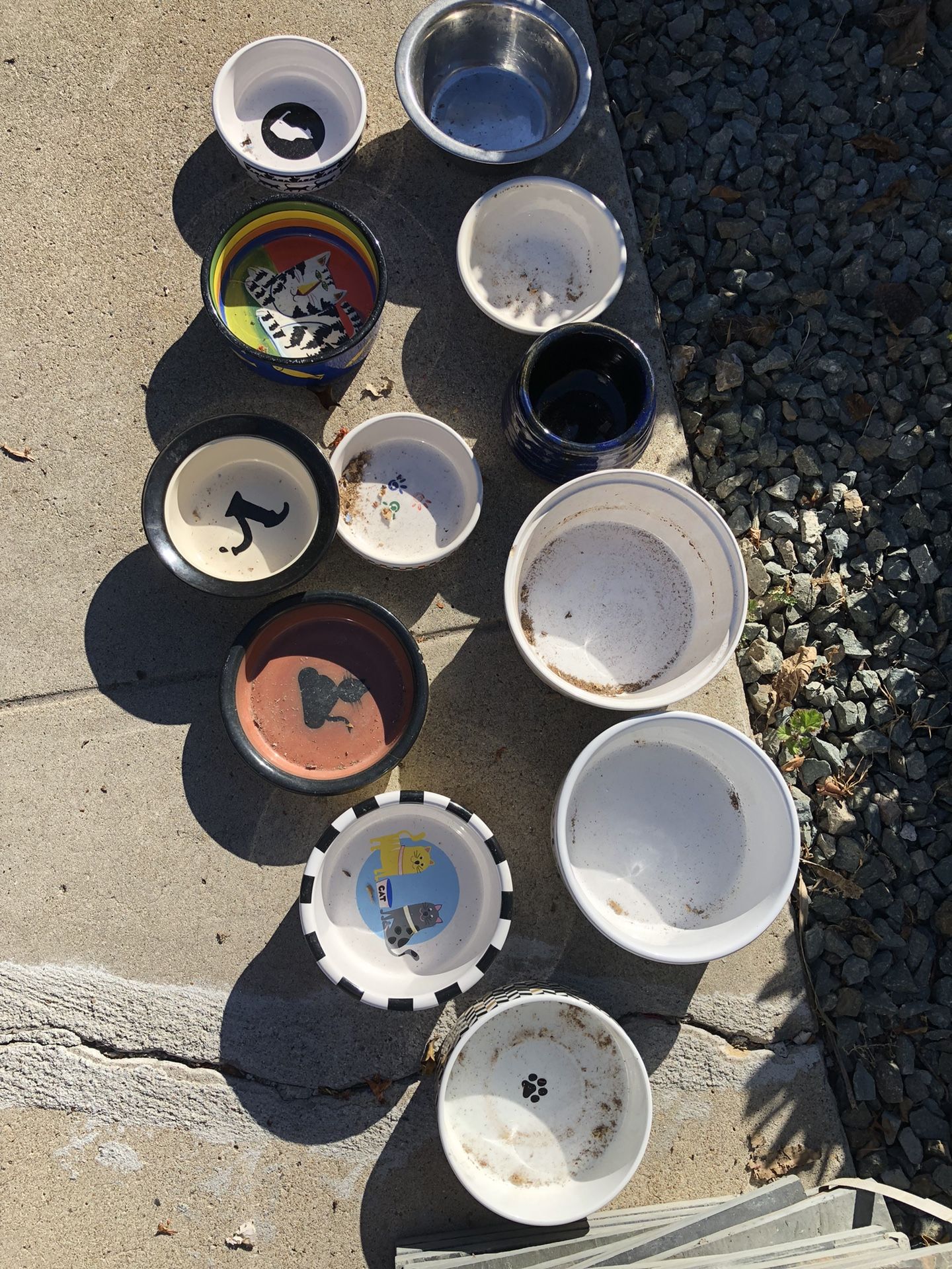 Cats π± And Dogs Ceramic Bowls
