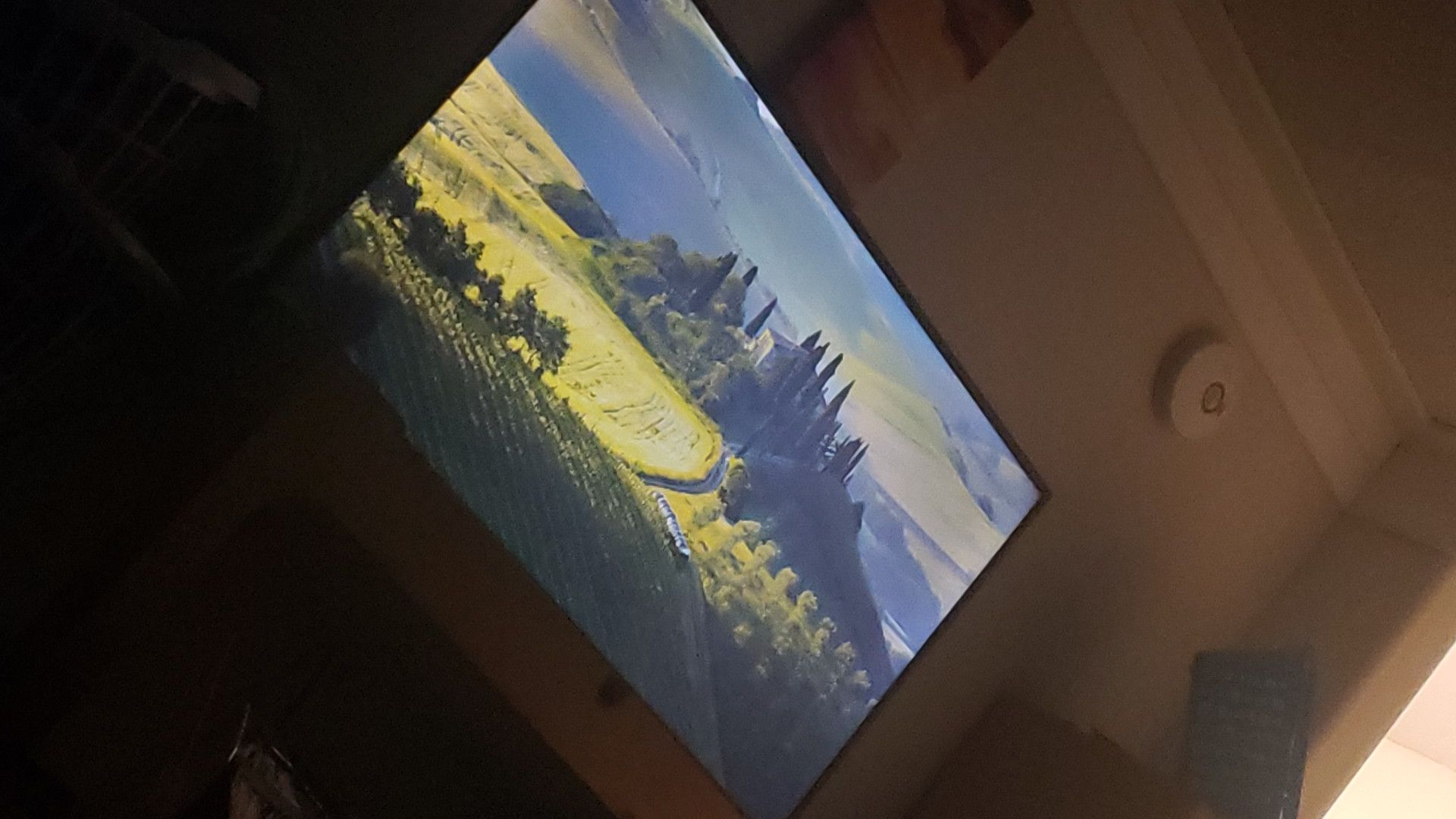 Vizio 44" flat screen Smart tv