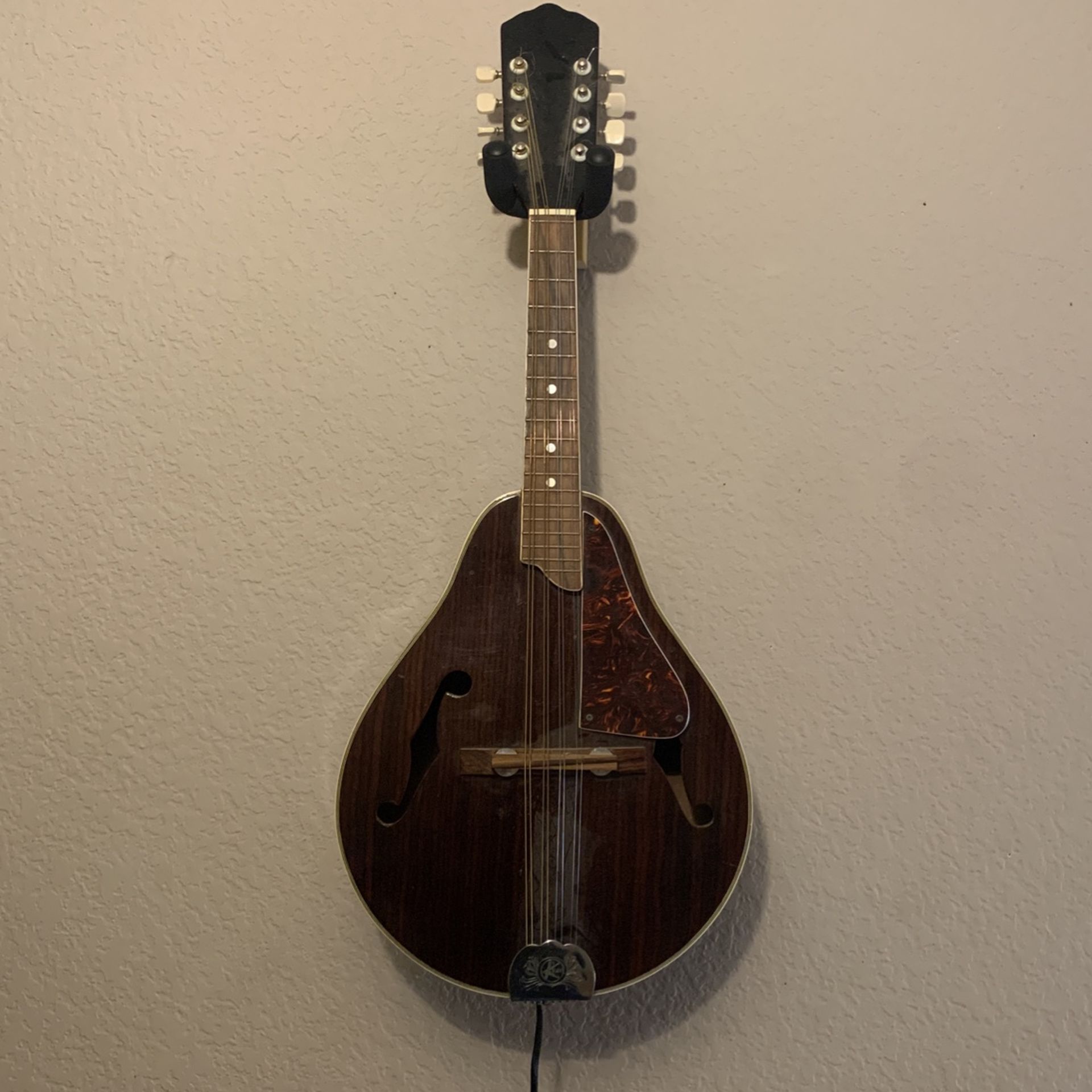 1960’s Kay Mandolin
