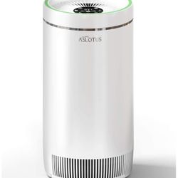 Air Purifier for Home
