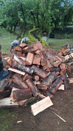 Fir alder mix