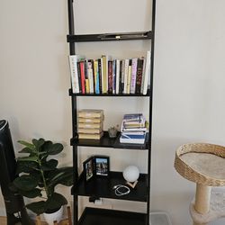 Leaning ladder shelf bookcase