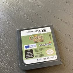 DS Game