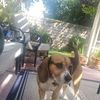 madelyn