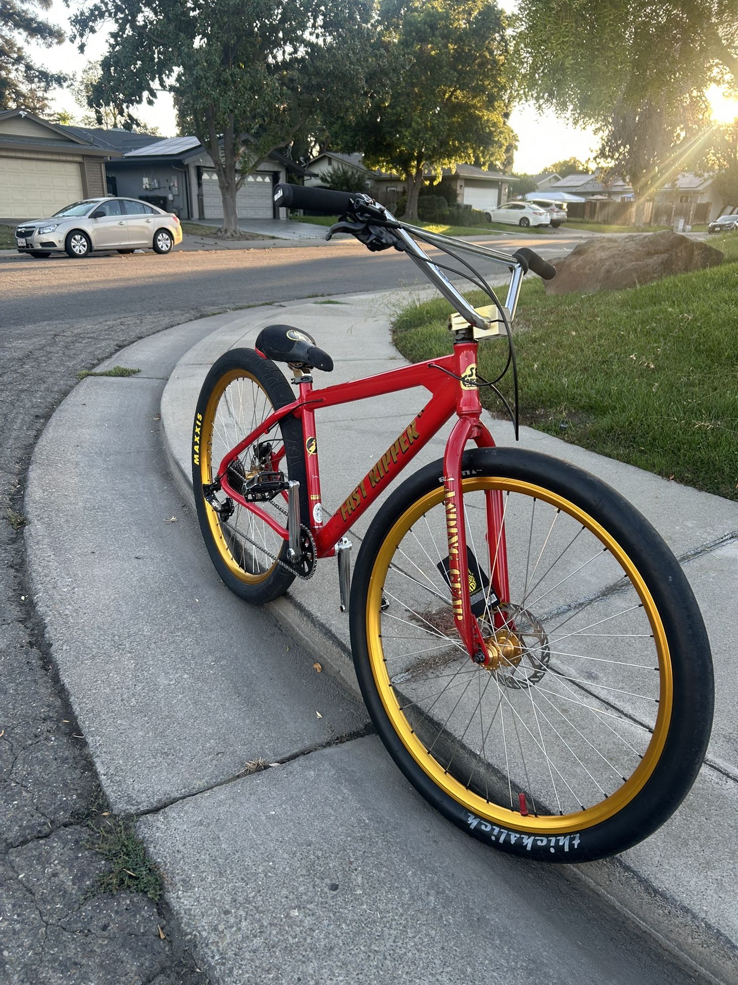 Fast Ripper 29” 2019 Model *Rare Frame*