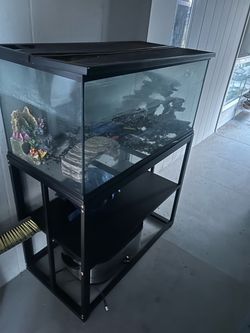 Glass Aquarium Tank with Black Metal Stand